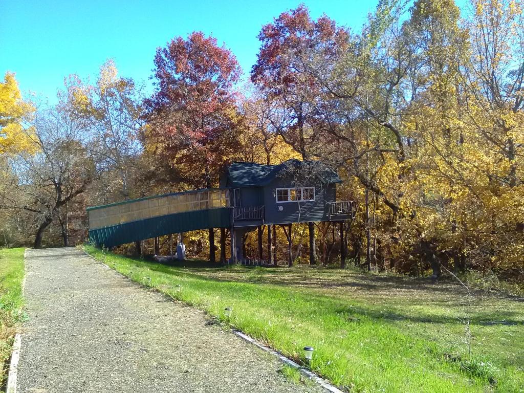 Peaceful Valley Haven Tree House (Westby)