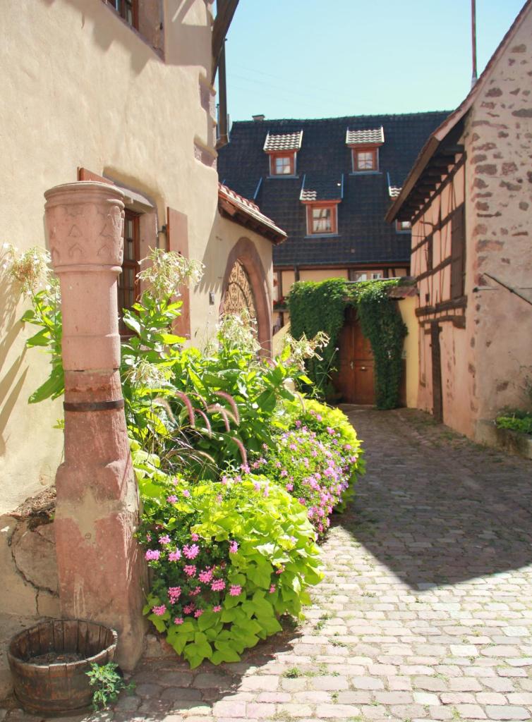 Les Gîtes Coeur de Vigne (Riquewihr) 