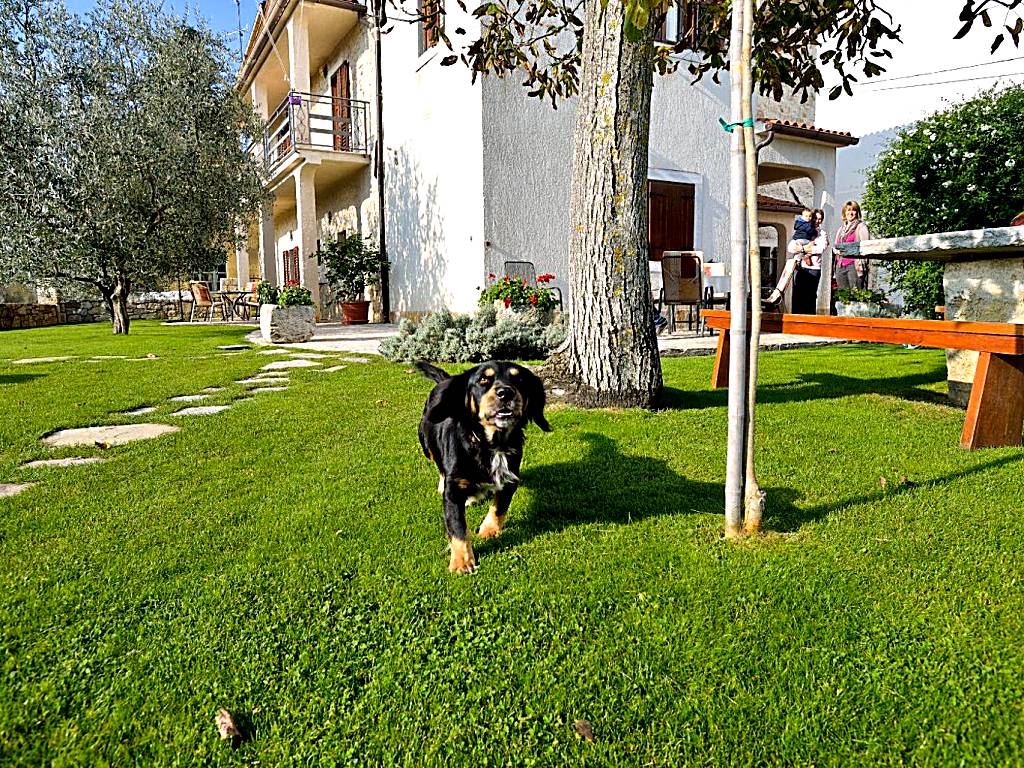 Rural Apartments Ritossa (Vižinada) 