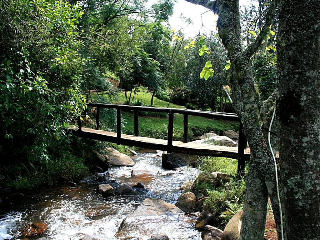 Sabie Star