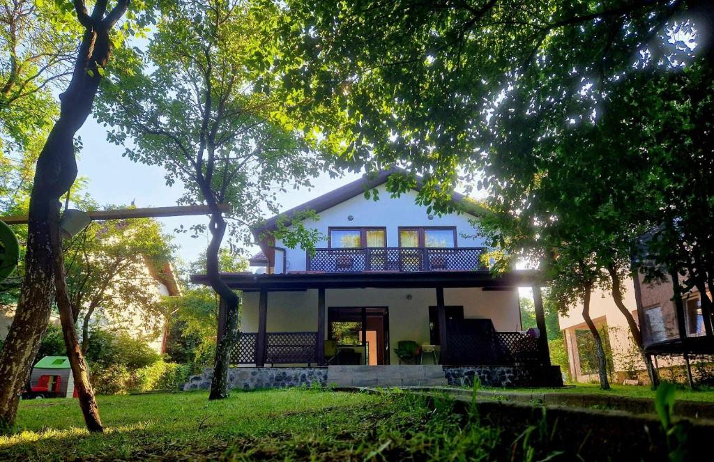 Casa Vlazilor